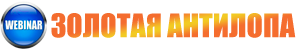 Система проведения вебинаров